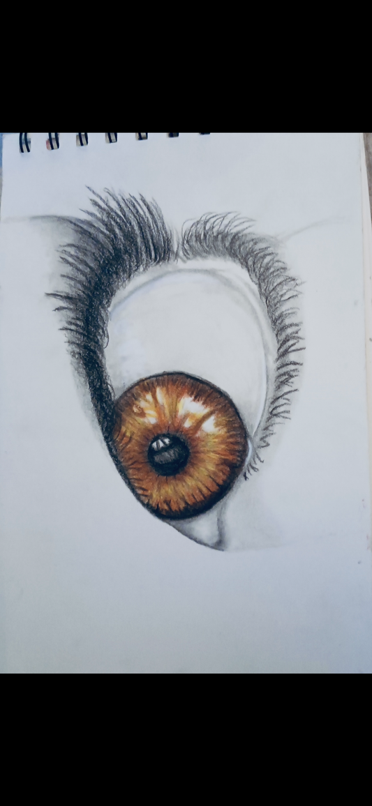 Fierce Insight